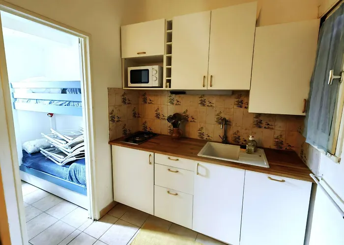 Mitoyenne Climatisee Avec Piscine, 4 Pers, Parking - Fr-1-607-210 Agde